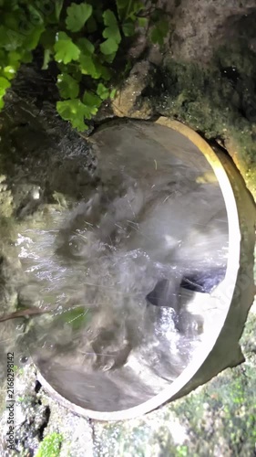 Water flowing from garden hose nozzle with small green plants growing beside it
