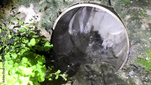 Water flowing from garden hose nozzle with small green plants growing beside it