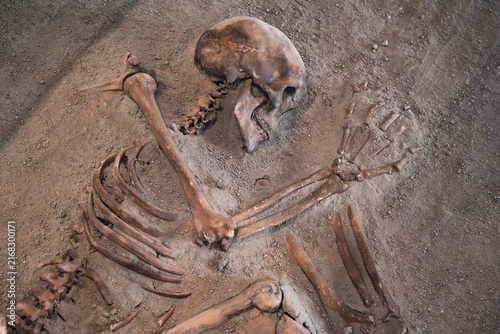 Close up view of an ancient prehistoric human skeleton in a grave bed during archaeological excavation at the Lepenski Vir site in Iron Gate National Park, Serbia. 20.07.2026