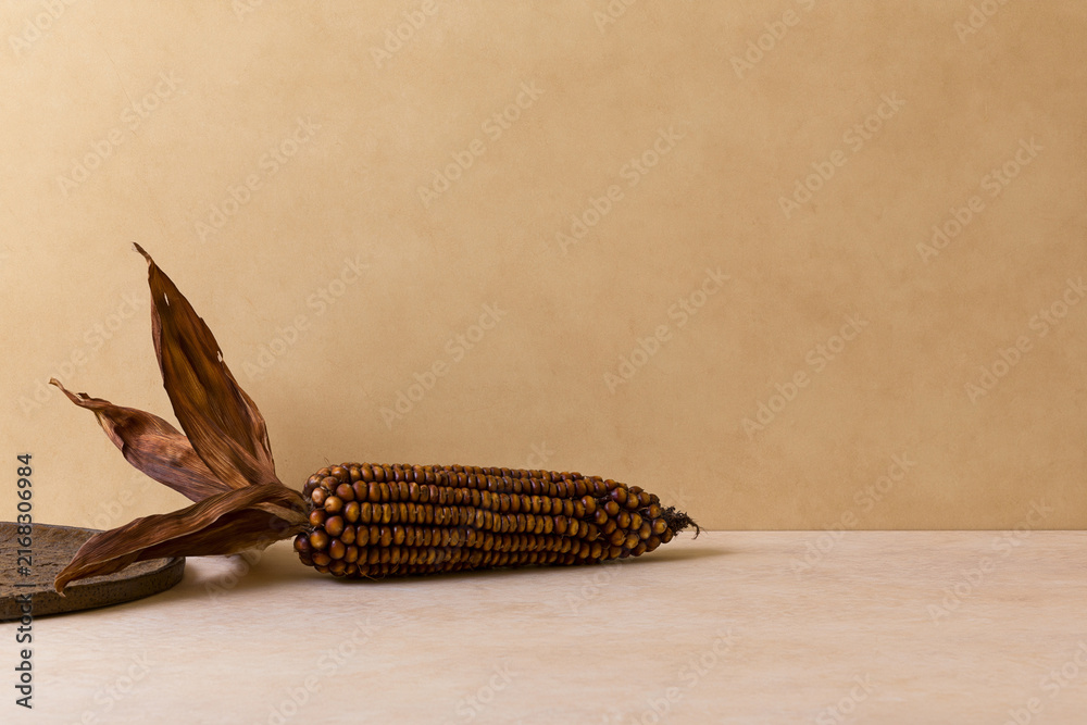 Fototapeta premium Dried decorative corn cob with rich kernel texture autumn concept