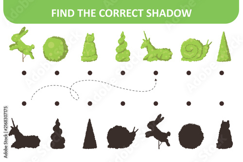 Find Correct Shadow Matching Game Vector Illustration Set