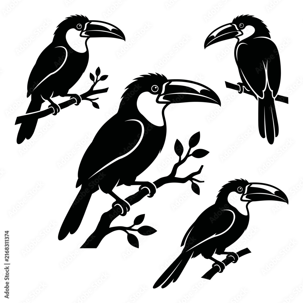 Naklejka premium black and white silhouette vector set of Emerald Toucanet