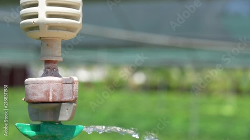 Extreme close up of micro sprinkler nozzle spraying water with droplet
