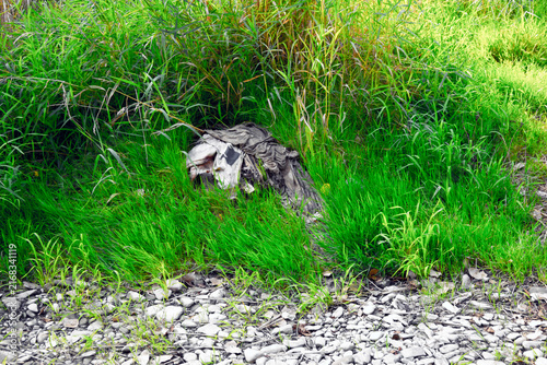 Foto Old clothes in the grass on the gravel bank of the river