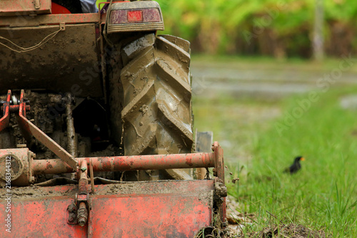 Farmer Driving Red Tractor Plowing Paddy Field with Egrets Foraging