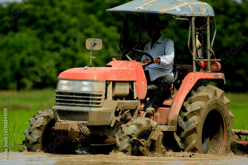 Farmer Driving Red Tractor Plowing Paddy Field with Egrets Foraging