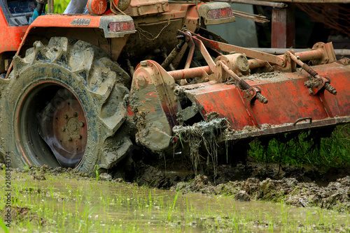 Farmer Driving Red Tractor Plowing Paddy Field with Egrets Foraging
