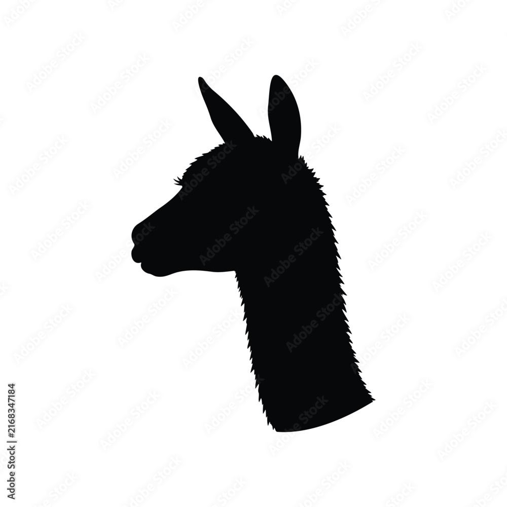 Naklejka premium Vicuna head silhouette vector flat illustration design.