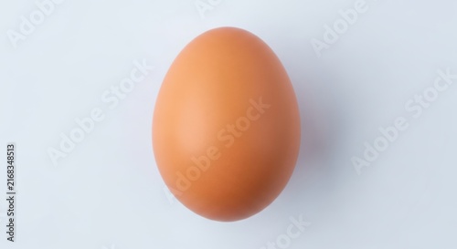 Single brown egg on plain background