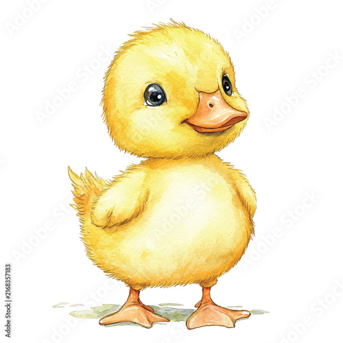 Bild auf Leinwand Cute Yellow Baby Duckling Standing Alone.