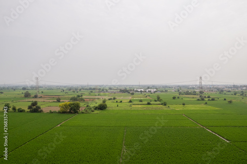 Canvas Print Aerial view of green agricultural fields near Eastern Peripheral Expressway in Dasna, UP