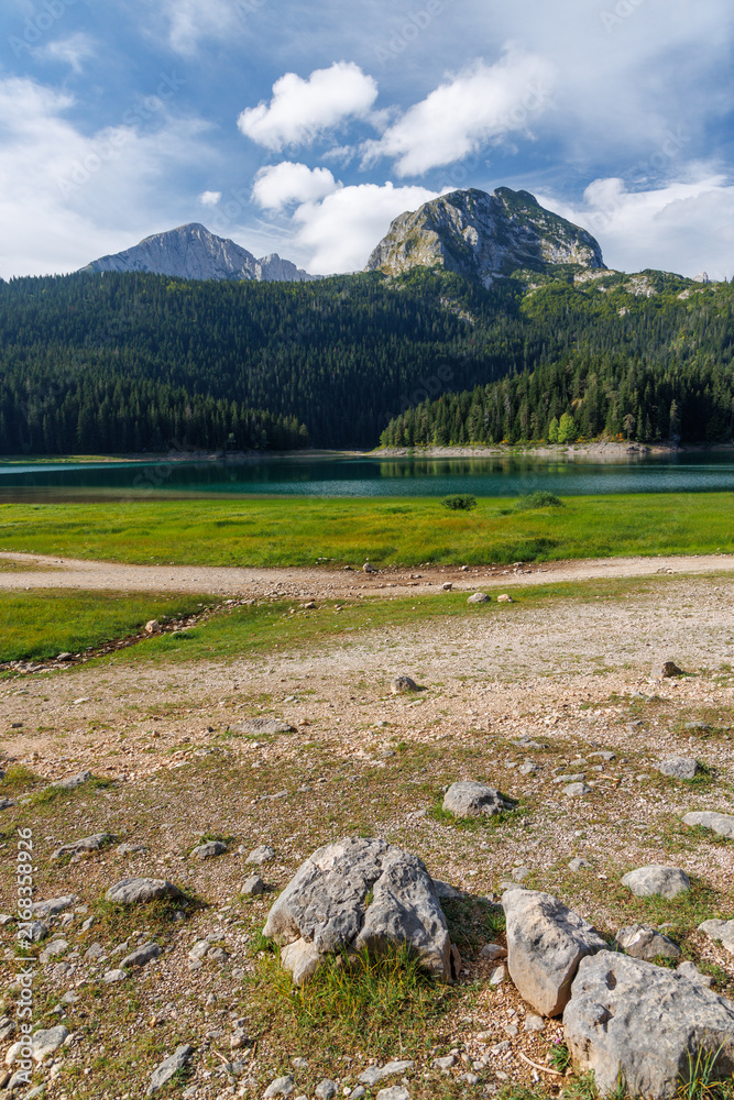 Naklejka premium Calm lake with forest reflection under blue sky