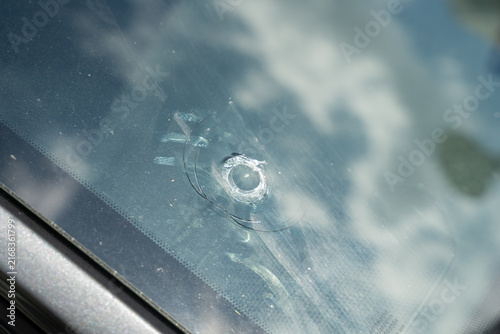 Car windshield damage caused by a stone impact. Auto insurance and glass damage from a stone or a nut dropped by a crow. Repair costs and road safety risks.