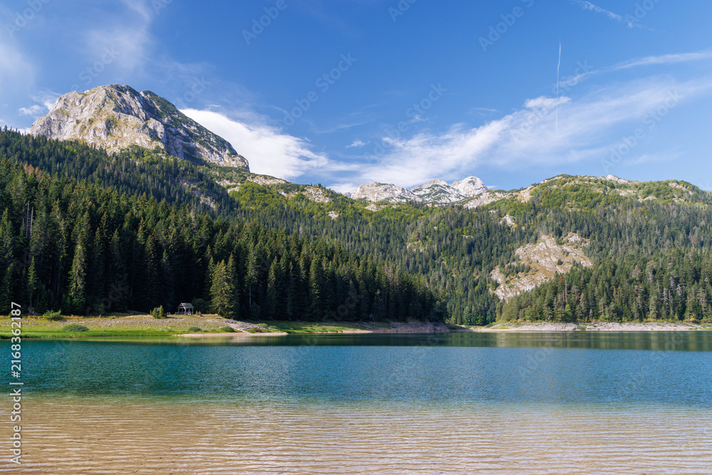 Naklejka premium Calm lake with forest reflection under blue sky