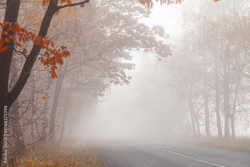 Fototapeta premium Empty asphalt road in foggy autumn forest with misty trees