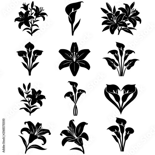 Botanical flower silhouette icon set vector garden floral collection