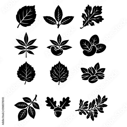 Leaves silhouette vector collection black leaf icon set isolated white background