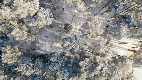 Top-down aerial view of a frost-covered forest with a snowy path cutting through the trees, lithuania winter travel content, ski resort marketing, christmas card background, nature documentary footage