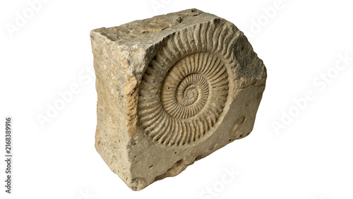 Fotografía Ancient petrified spiral ammonite fossil shell geology specimen isolated on a wh