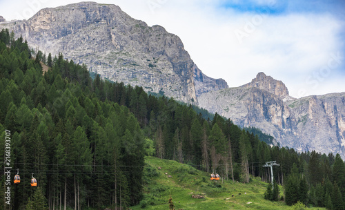 Canvastavla Cable cars traverse through tall trees with rugged mountains in the background