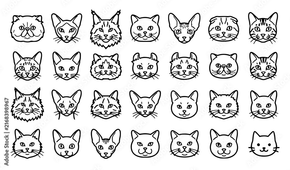 Obraz premium Cat breeds heads line icons vector set featuring persian siamese maine coon sphinx and kitten faces for veterinary branding