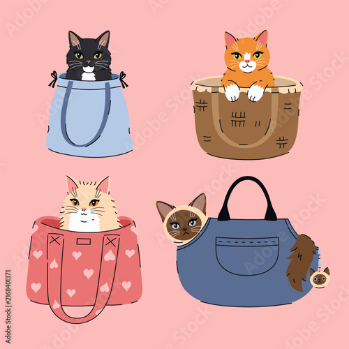 Cute cartoon cats and kittens sitting inside bags and baskets, vector illustration set