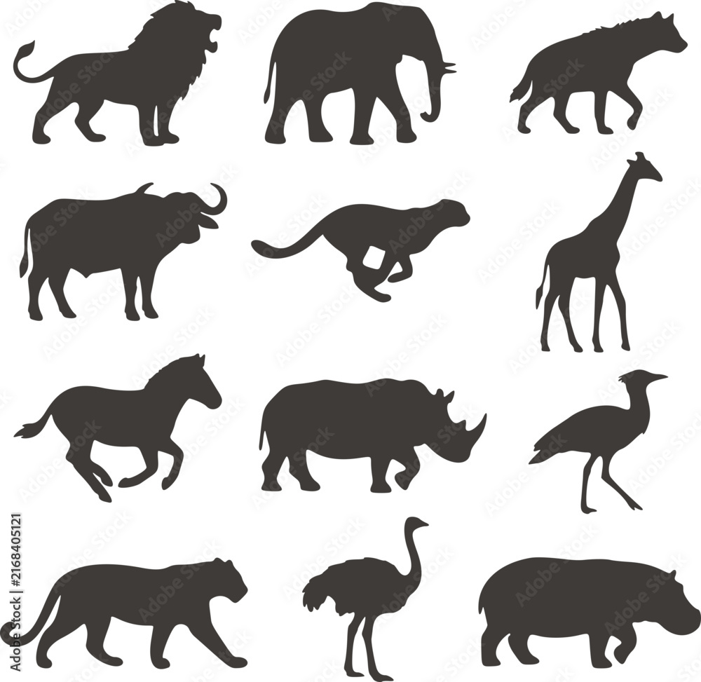 Fototapeta premium Set of dark grey African safari animal silhouettes lion elephant hyena buffalo cheetah giraffe zebra rhinoceros secretary bird leopard ostrich hippo