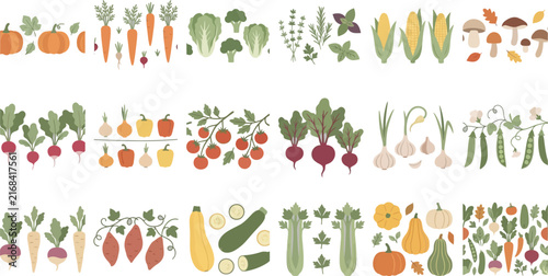 Assorted Fresh Vegetables and Herbs in Flat Design Vector Illustration