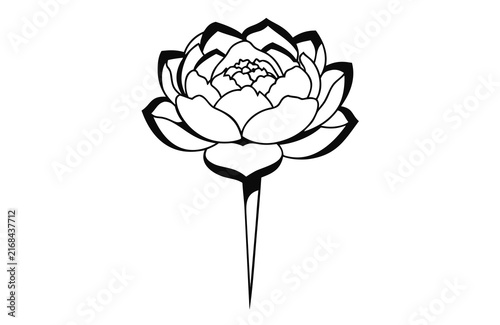Elegant Hand Drawn Rose Flower with Delicate Petals and Leaves Vintage Floral Vector Illustration