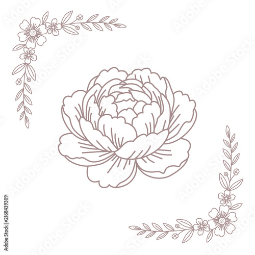 Flower Illustration For Wedding