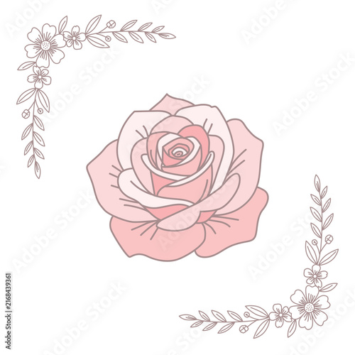 Flower Illustration For Wedding