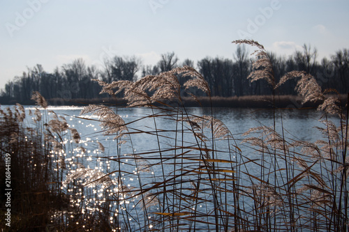 Photography Scenic winter landscape, Alte Donau, Vienna, Austria