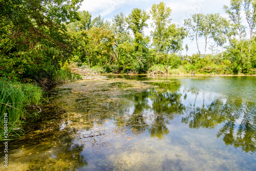 Photography Green pond and trees at Dechantlacke, Vienna, Austria