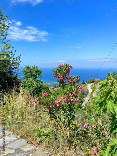 Fotografie Admiring the roadside landscapes from the car window while climbing Mount Olympus