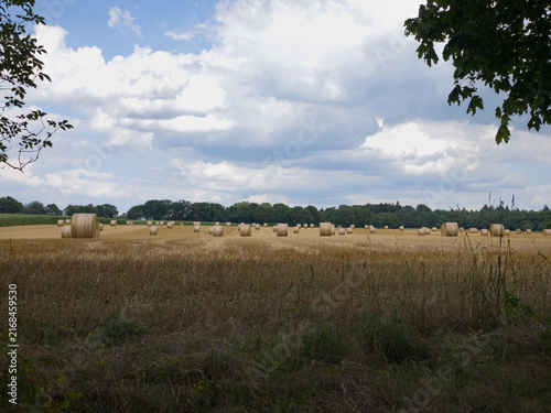 Wide field landscape with straw bales under a cloudy sky, surrounded by trees, round bales in a field in summer in 27798 Hude, Germany