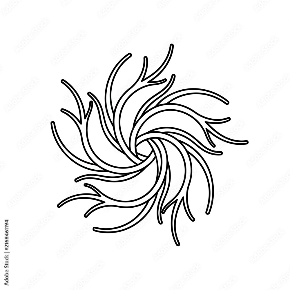 Fototapeta premium Abstract Swirl Pattern