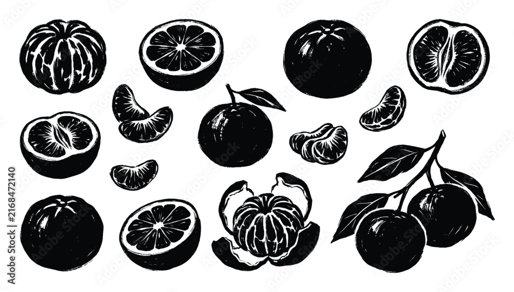 Naklejka premium Clementine mandarin citrus fruit vector collection, black silhouette illustration