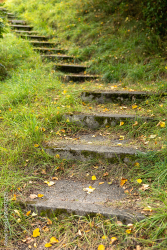 Old concrete steps winding uphill through overgrown grass and scattered yellow leaves in a quiet natural setting.
