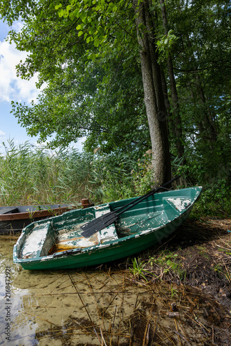 Weathered green wooden rowboat with peeling paint and oars pulled onto a muddy lakeshore beneath tall trees and dense reeds.