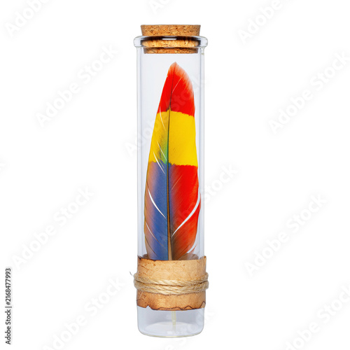 Colorful Feather Preserved in a Glass Test Tube with Cork Stopper.
