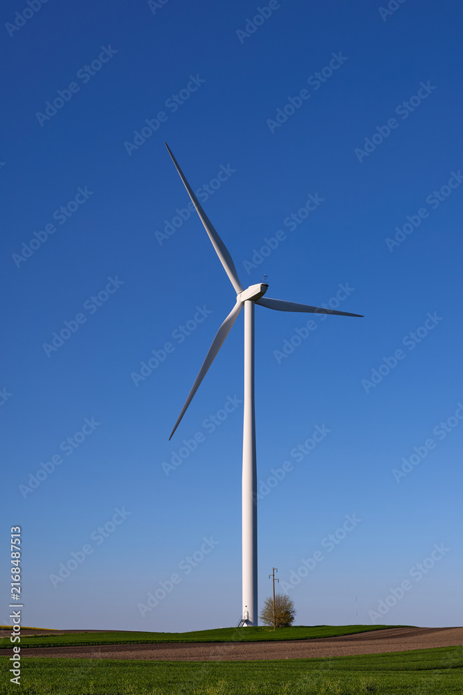 Fototapeta premium Wind turbines at sunset in green field – renewable energy, clean power, sustainable future.