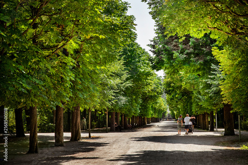 Fotografía Jolie allée d'arbre dans un parc