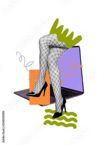 Obraz na płótnie Vertical poster collage young sexy erotic woman legs net stockings laptop comput