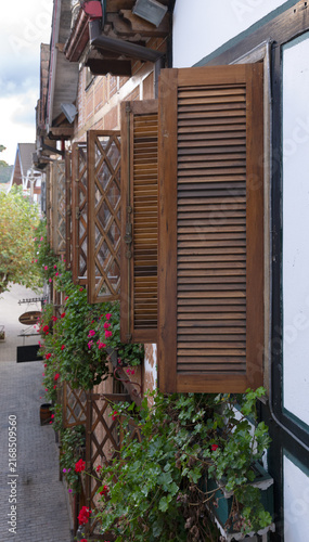 Beautiful Alpine-Style House Facade in a Brazilian Mountain Town