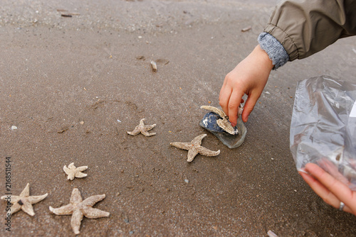Person picks up a broken glass bottle-bottom fragment from wet North Sea beach sand beside common starfish, Asterias rubens
