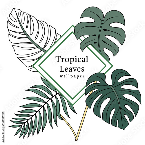 Tropical leaves wallpaper composition with diamond frame and monstera palm flora flat vector art for creative wall decor print or artistic design project background.