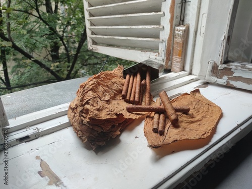 long cigars and tobacco leaves. cigars on an old windowsill. several cigars lie on tobacco leaves
