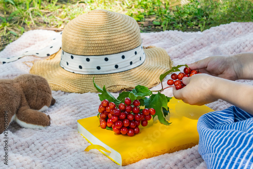 Obraz na plátně Child hands holding fresh red viburnum berries over a yellow book during cozy ou