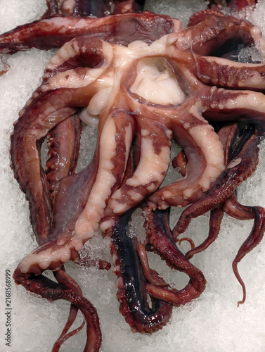 Konstfotografi Thawed squid tentacles arranged across fresh ice in a supermarket seafood sectio