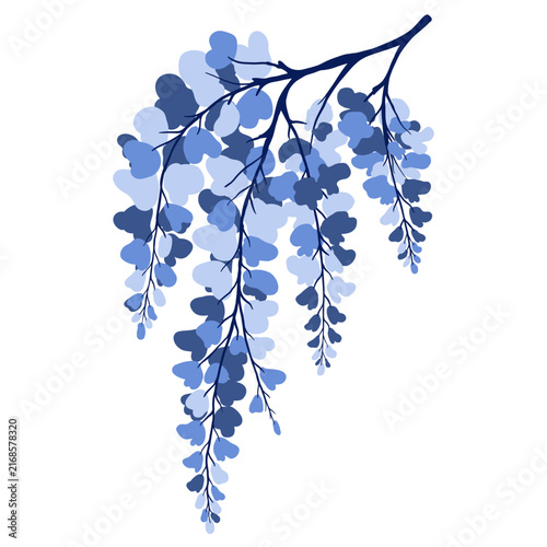 Flat design blue wisteria branch illustration, minimalist cascading flower clipart top view, botanical icon isolated on white background